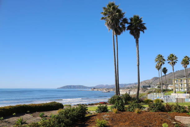 istock Pismo Beach Coastline, California 1445904914