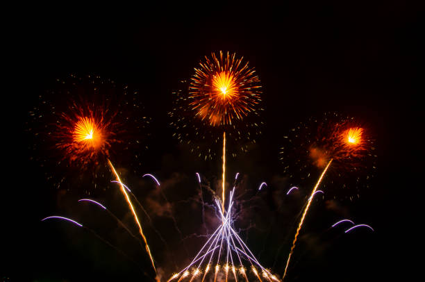 istock fireworks,beautiful fireworks in the dark sky 1445904942