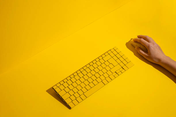 istock Female hand holds a yellow wireless mouse and keyboard on a blue background. Top view, flat lay 1445907348