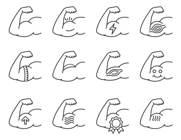 Muscle icon set Muscle icon set muscle bicep stock illustrations