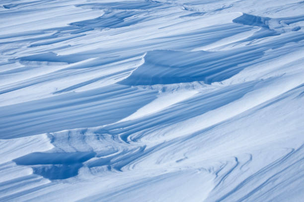 istock Wind blown snow drifts 1445911660