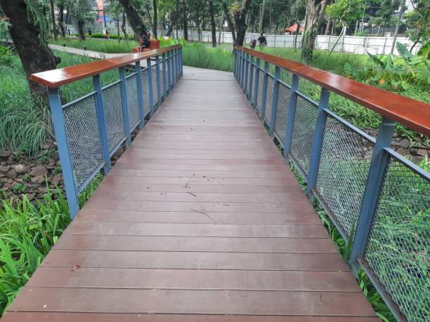 istock Wooden deck in an urban forest with shady trees 1445912687