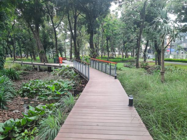istock Wooden deck in an urban forest with shady trees 1445912696