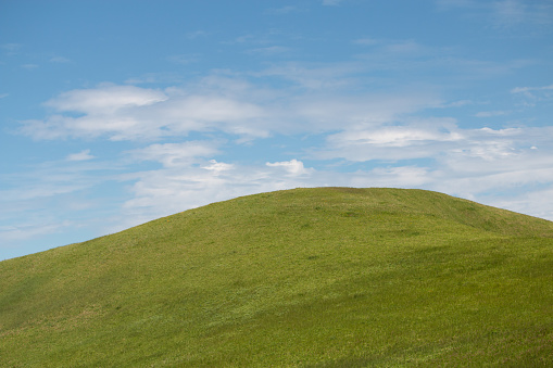 Grassland with mountains in background.