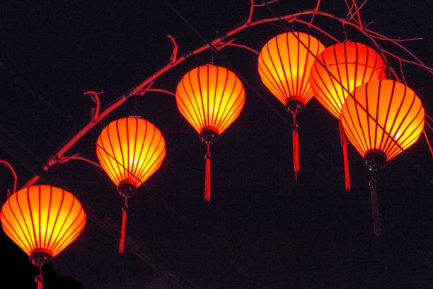 istock Beautiful low angle shot of red lanterns hanging on a tree branch 1445914860