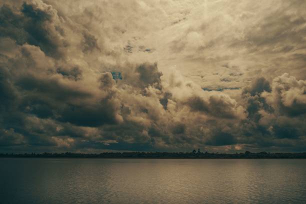 istock Beautiful view of an ocean with trees in the background under a cloudy sky 1445915048