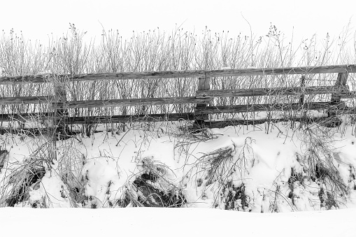 A grayscale shot of snow-covered grass and fence during winter