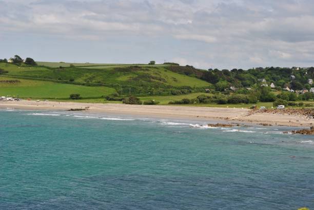 istock Mesmerizing shot of a Langland Bay beach 1445915819
