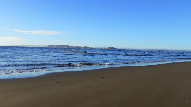 istock Beautiful view of sandy beach and calm water under a blue sky 1445916143