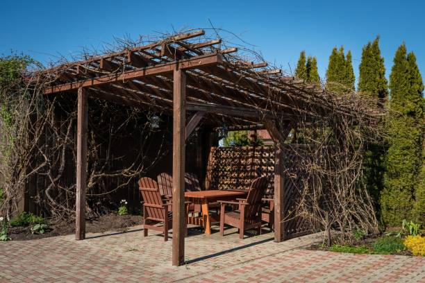 istock Vine arbor in the countryside in spring 1445917364