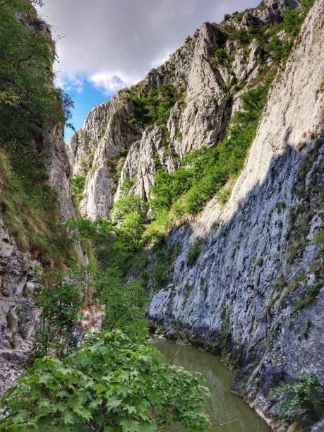 istock Vertical shot of a river flowing through mountains covered with greenery under a cloudy blue sky 1445917776