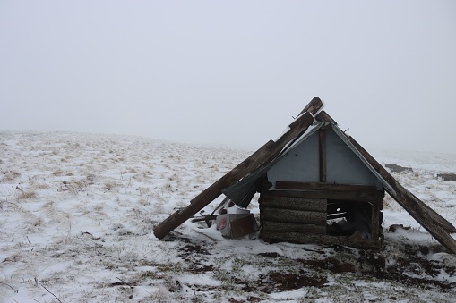 A small hut in the snowy meadow.