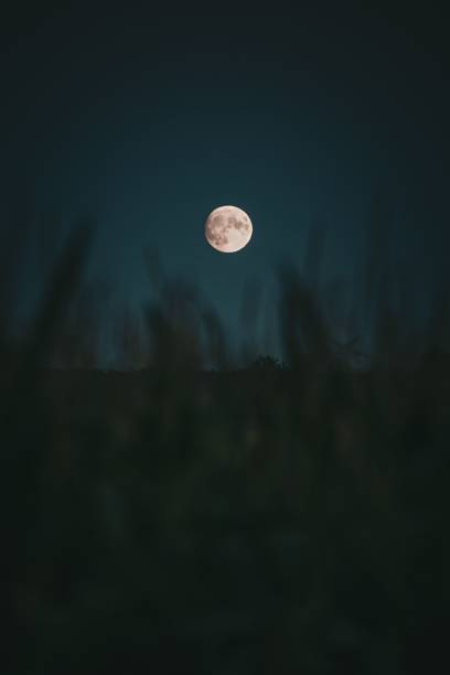 istock Vertical view of a half moon at night over the valley 1445918292