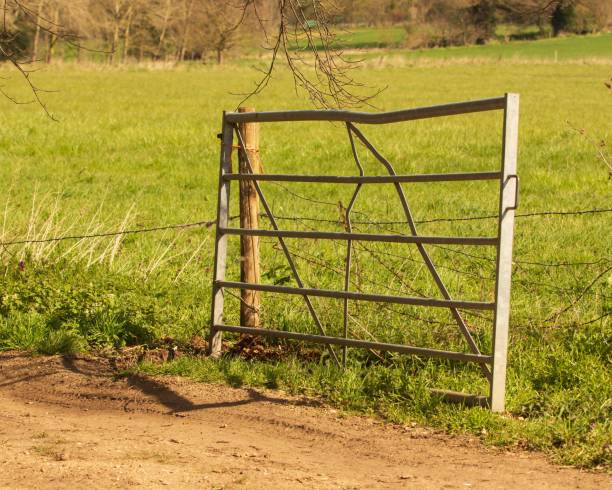 istock Metal six-bar gate leaned against a barbed wire fence 1445921725