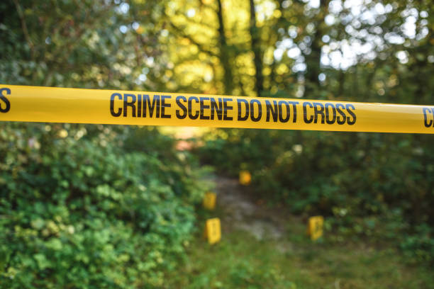 istock Barricade Tape Blocking Crime Scene From Intruders 1445921998