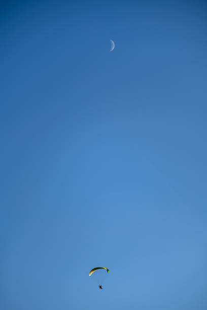 istock Vertical low-angle view of a person paragliding 1445922426