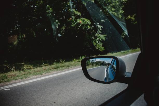 istock Asphalt road and forests view from a car during daytime 1445923546