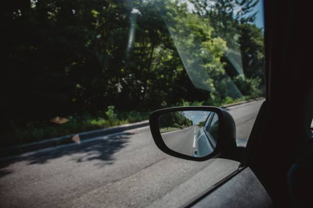 istock Asphalt road and forests view from a car during daytime 1445923554
