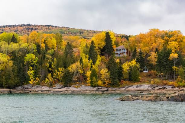 casa escondida na floresta no lago no canadá, no outono - deciduous tree autumn canada house - fotografias e filmes do acervo