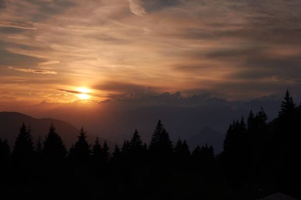 istock Beautiful view of a sunset sky with clouds over large trees in a forest 1445924753