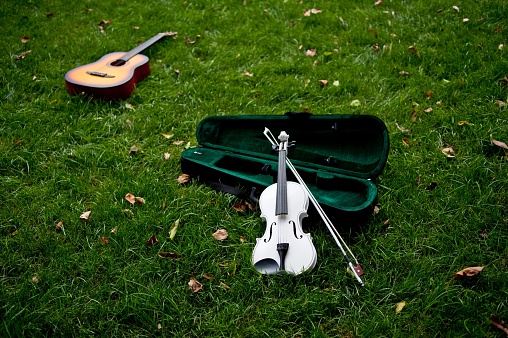 A close-up shot of a violing and a guitar on the grass