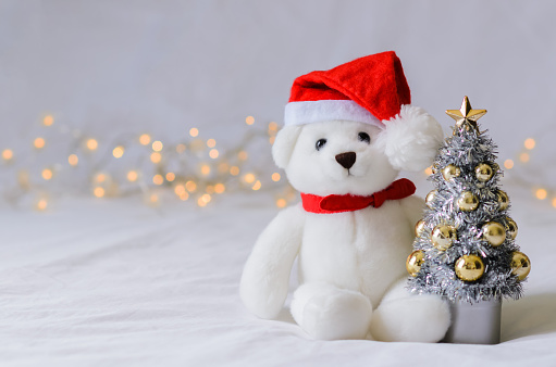 Selective focus on Santa claus teddy bear eyes who wearing hat sitting with blurred focus Christmas tree on white cloth background with lights.