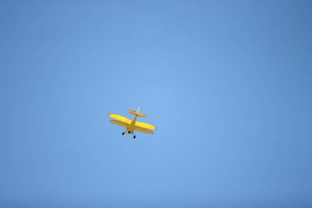 istock Low-angle shot of a yellow small plane flying under the clear blue sky 1445928875