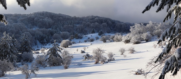 An aerial shot of the field surrounded by the mountains covered with trees in winter