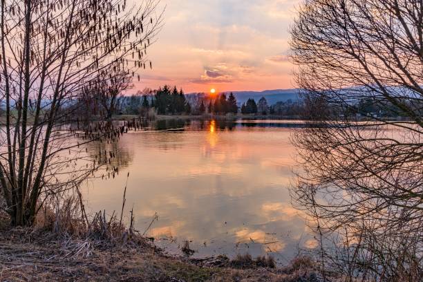 istock Fishing pond Badinsky Rybnik during sunset from between dead trees in the central Slovakia 1445929184
