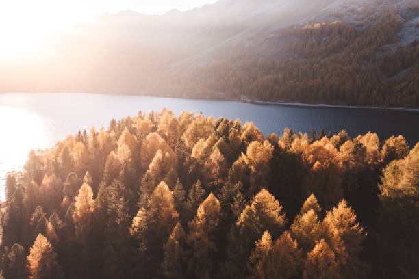 istock Lake surrounded by hills and mountains covered with vegetation under the sunlight 1445929989