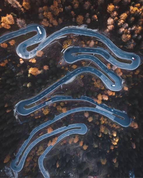 istock Vertical top shot of a tortuous highway surrounded by dense vegetation 1445930020