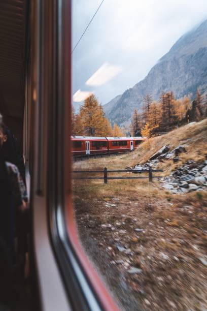 istock Beautiful vertical view of fall trees on the railway from train window 1445930226