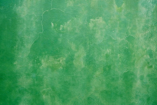 Green Grunge Concrete Wall Texture for Background.