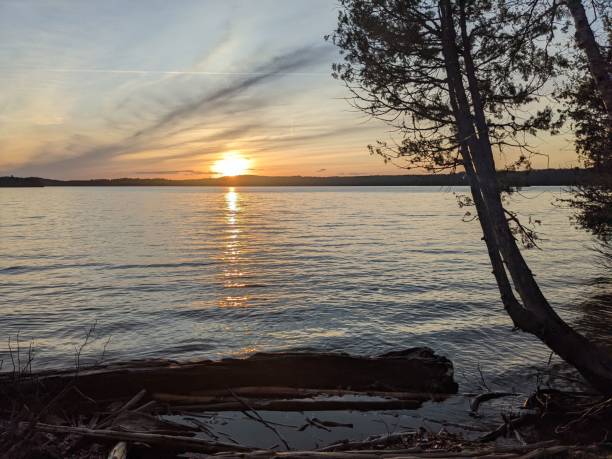 istock Scenery of bright sunset over a lake 1445932177