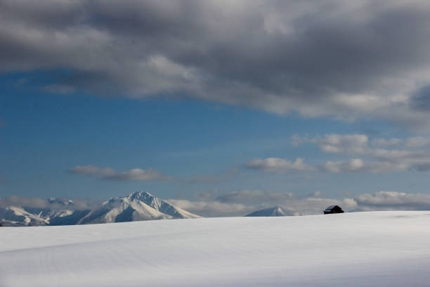 istock snowy field and snow mountain peak 1445932296