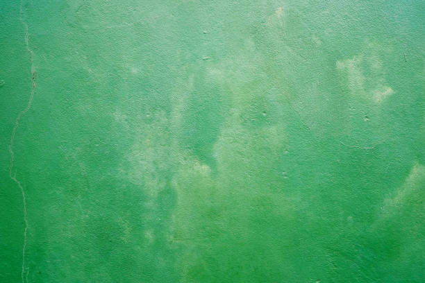 istock Green Crack Concrete Wall Texture for Background. 1445932340
