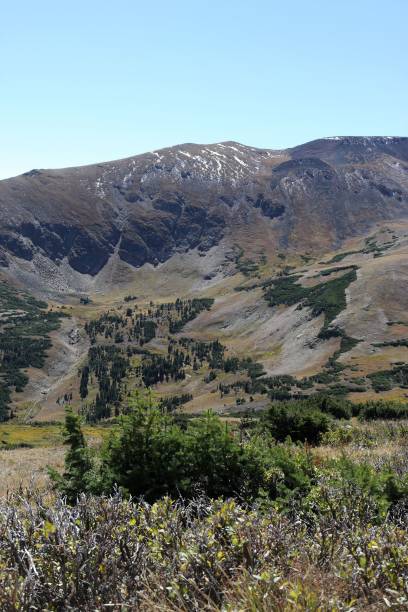 istock Vertical shot of valley and mountains under the clear cloudless sky 1445932505