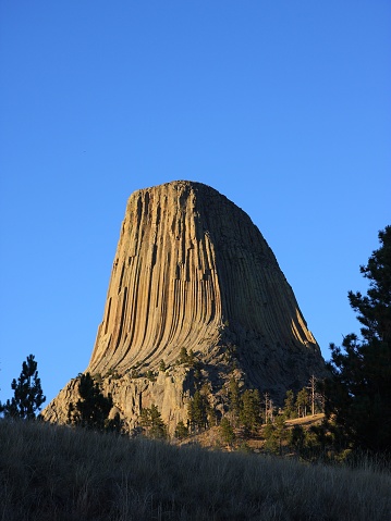 A vertical shot of the famous Devils Tower National Monument in Wyoming, USA