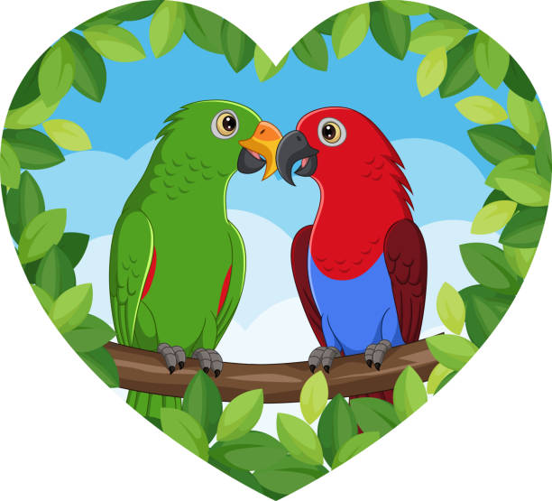 ilustrações, clipart, desenhos animados e ícones de papagaios dos desenhos animados adorável casal no galho da árvore - parrot multi colored bird perching