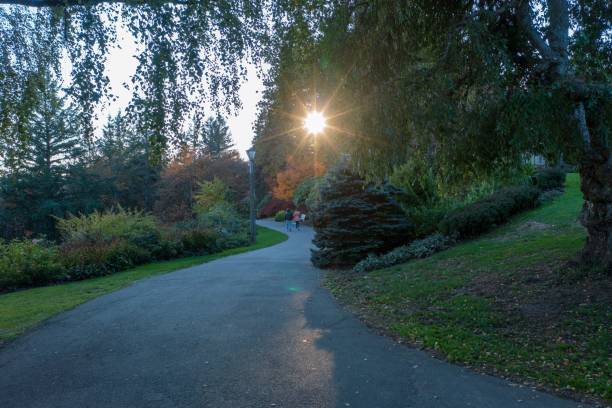 istock City park's road surrounded by trees in the evening 1445932699