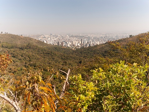Forest and city of Belo Horizonte seen from the top of a hill.