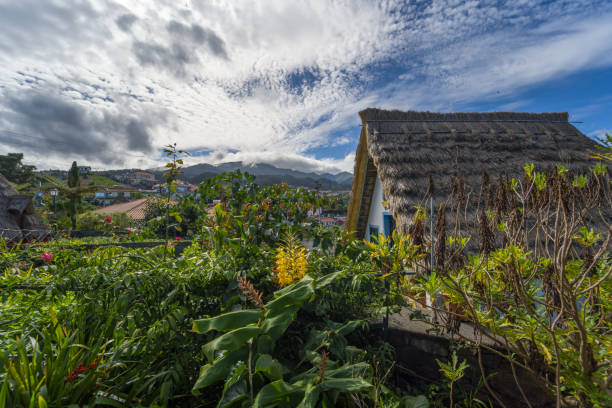 istock Madeira - Santana and its typical houses 1445933226