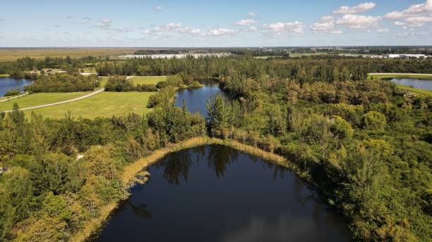 istock Aerial of a forest with lakes in it. 1445933496