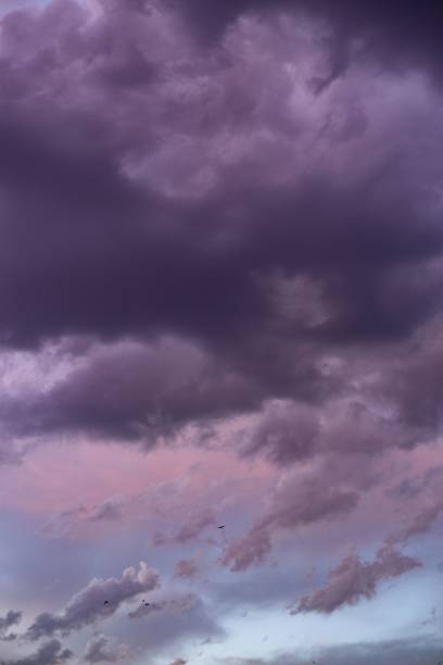 istock Dramatic shot of a dark purplish gray cloudy sky 1445934391