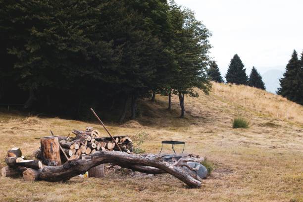 istock Preparation of a campfire with woods in the nature 1445935100