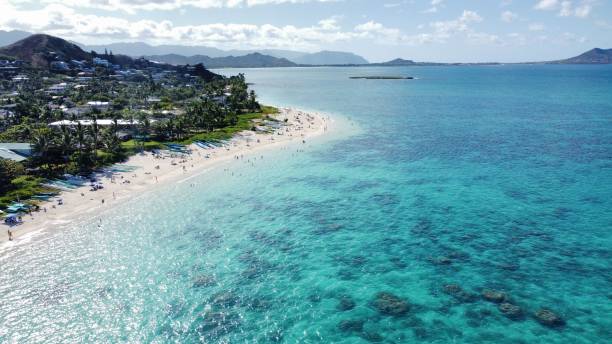 istock Aerial cityscape along sea shore 1445936158