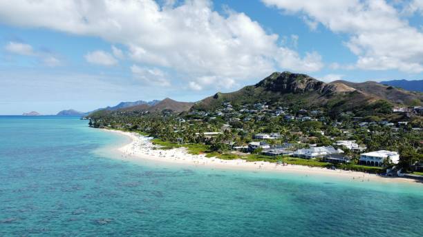 istock Aerial cityscape along sea shore 1445936163