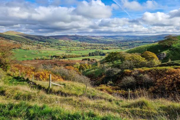 istock Beautiful view of a grassland under a cloudy blue sky 1445936201