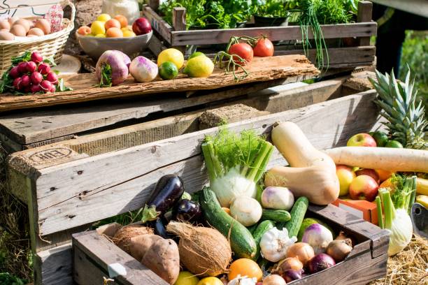 istock BBQ Outdoor with food preparations 1445937469