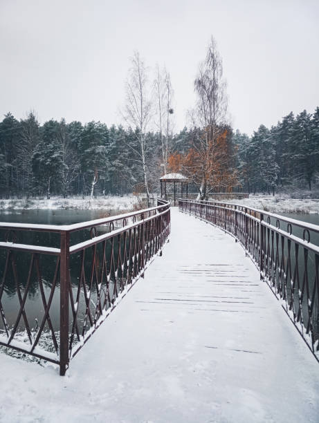 istock The bridge in the winter 1445937857